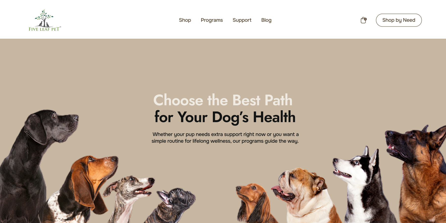 Dogs interneto svetainės projekto vaizdas