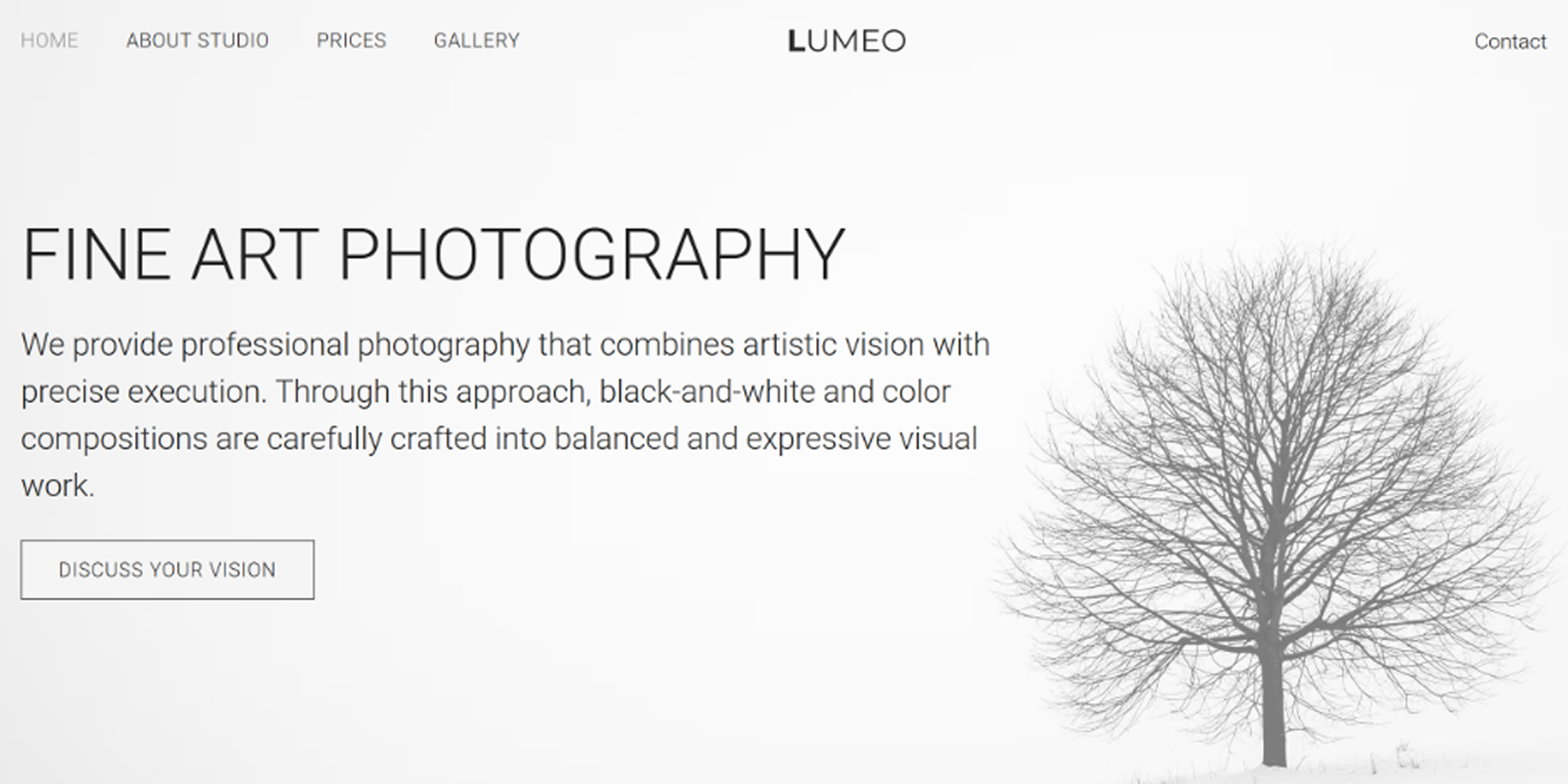 Lumeo fotografijos interneto svetainės projekto vaizdas